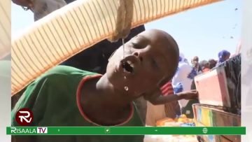 Mareykanka oo Saddex Arrin ka taageeraya Dowladda Cusub ee Madaxweyne Xasan Sheekh (Warbixin)