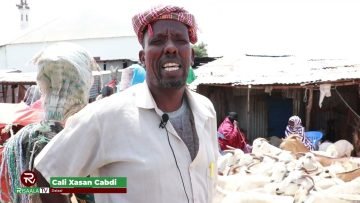 Mashquul aad u daran oo laga dareemayo suuqyada lagu iibiyo Xoolaha ee Muqdisho.