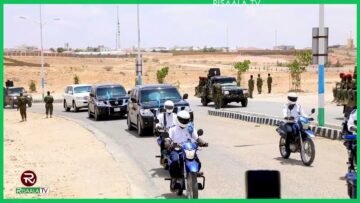 Ma dhab baa in Deni uu ka dalbaday Madaxwayne Xasan Sheekh in uu laalo xeer dhaqan gal noqday?