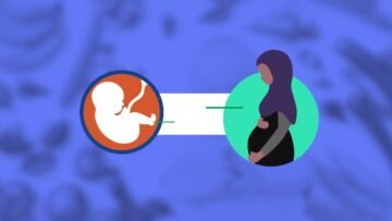 NAFAQADA HOOYADA IYO DHALLAANKA